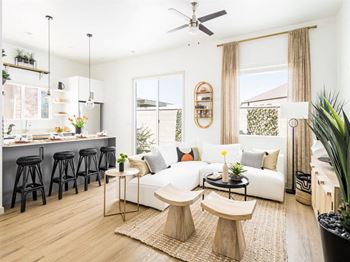 Stainless Steel Appliances