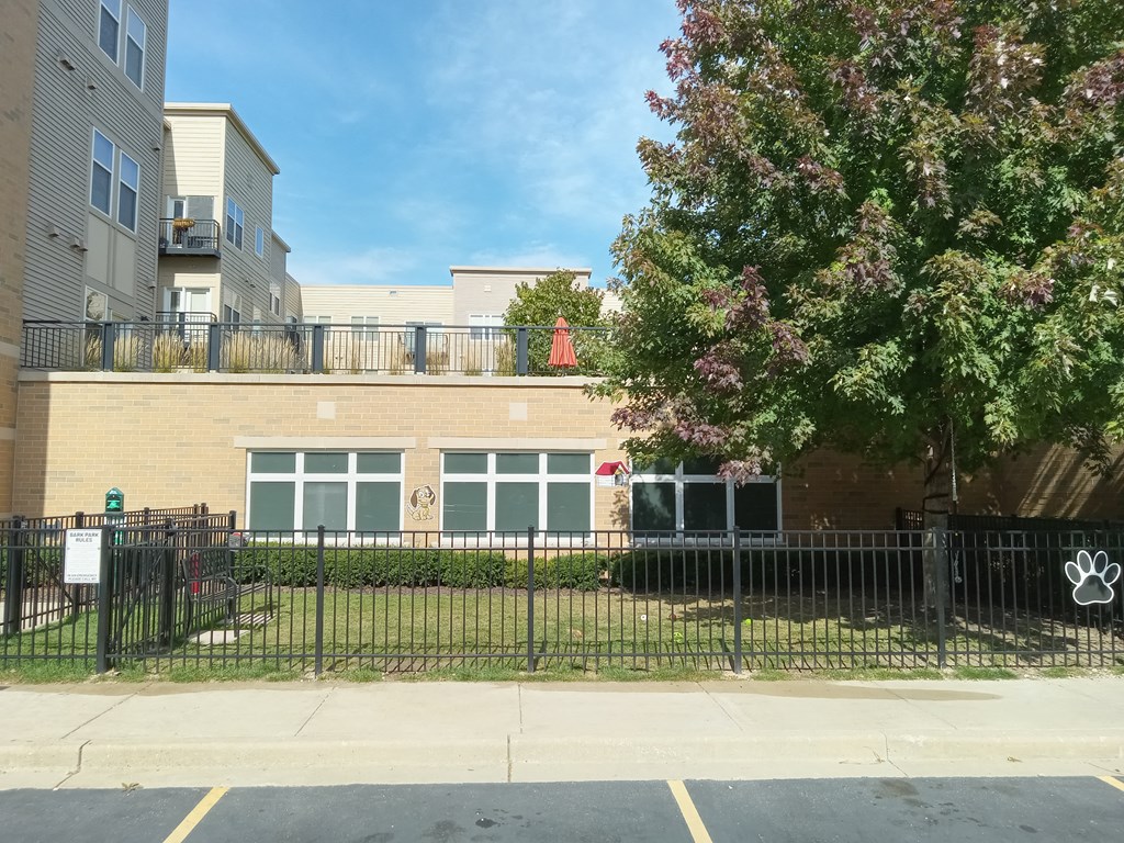Bark Park with Building Background