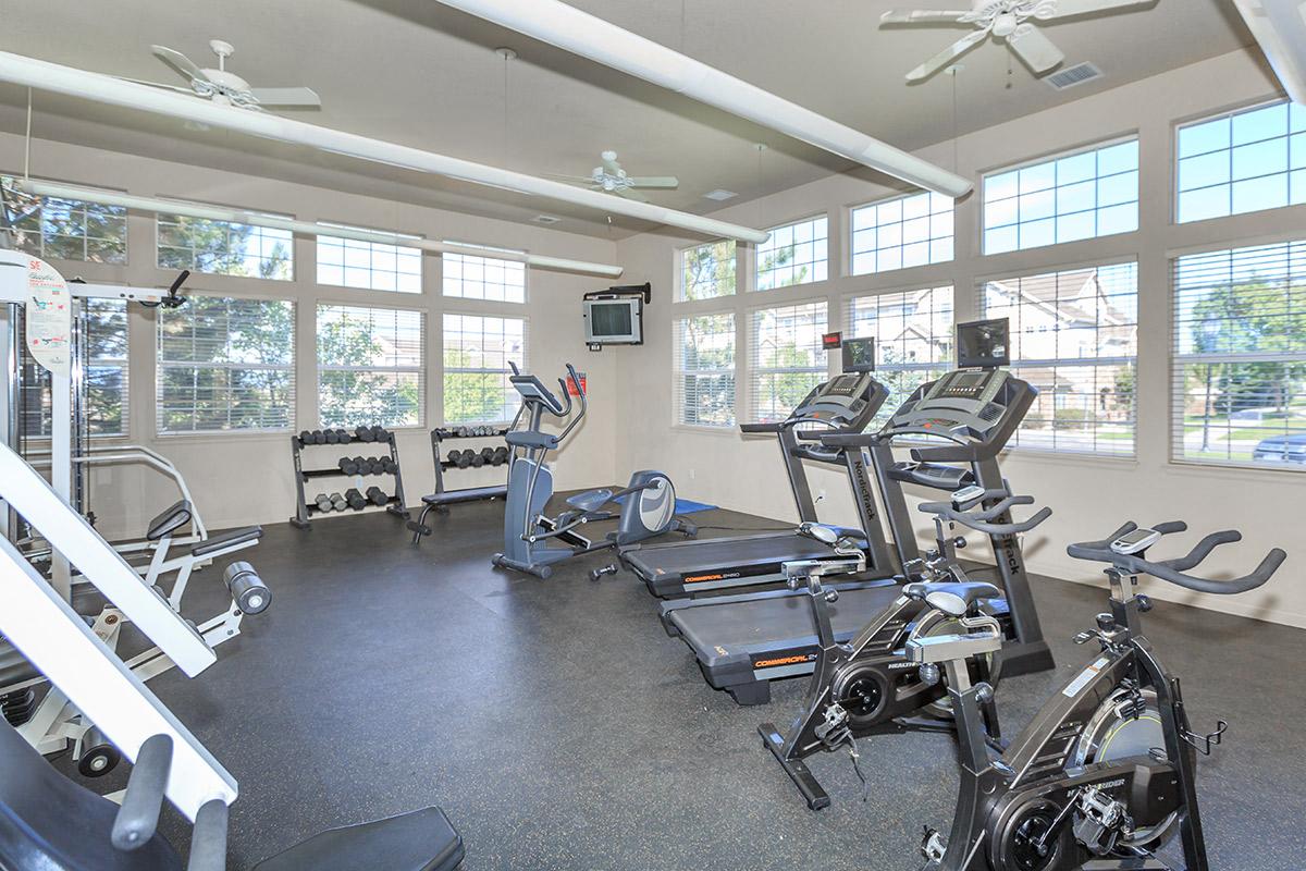 Fitness Center at Black Feather Apartments in Castle Rock, CO