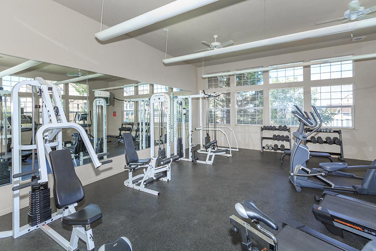 Fitness Center at Black Feather Apartments in Castle Rock, CO