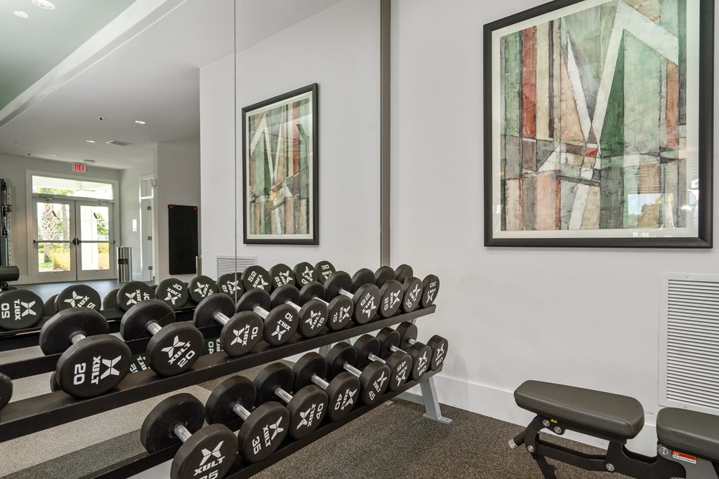 the gym with dumbbells and mirrors on the wall at Artesia at Lakewood Ranch Apartments, Bradenton, Florida