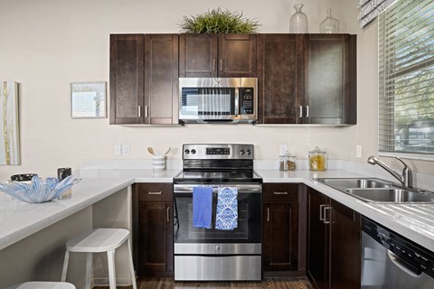 A modern kitchen with dark brown cabinets and stainless steel appliances.