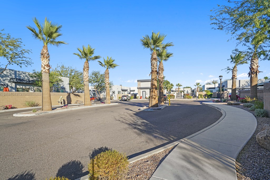 a street with palm trees on the side of a road