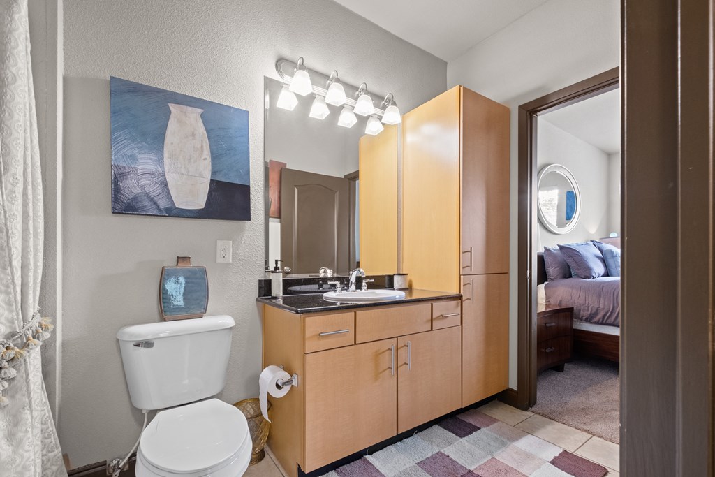 a bathroom with a toilet and a sink and a mirror at The Millennium Towne Center Apartments, Baton Rouge, Louisiana