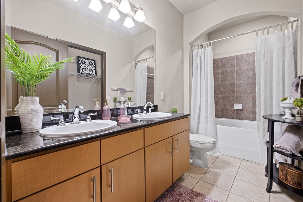 bathroom at The Millennium Towne Center Apartments, Baton Rouge, 70806
