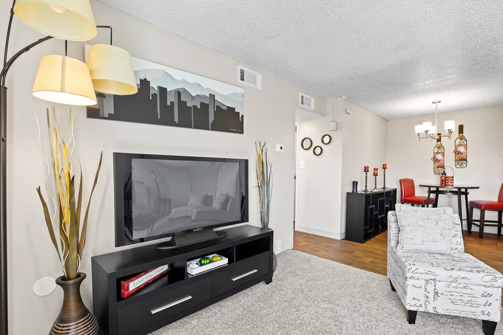 our apartments offer a living room with a flat screen tv