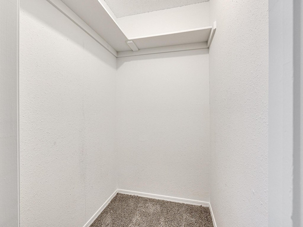 large closet with white walls and brown carpet