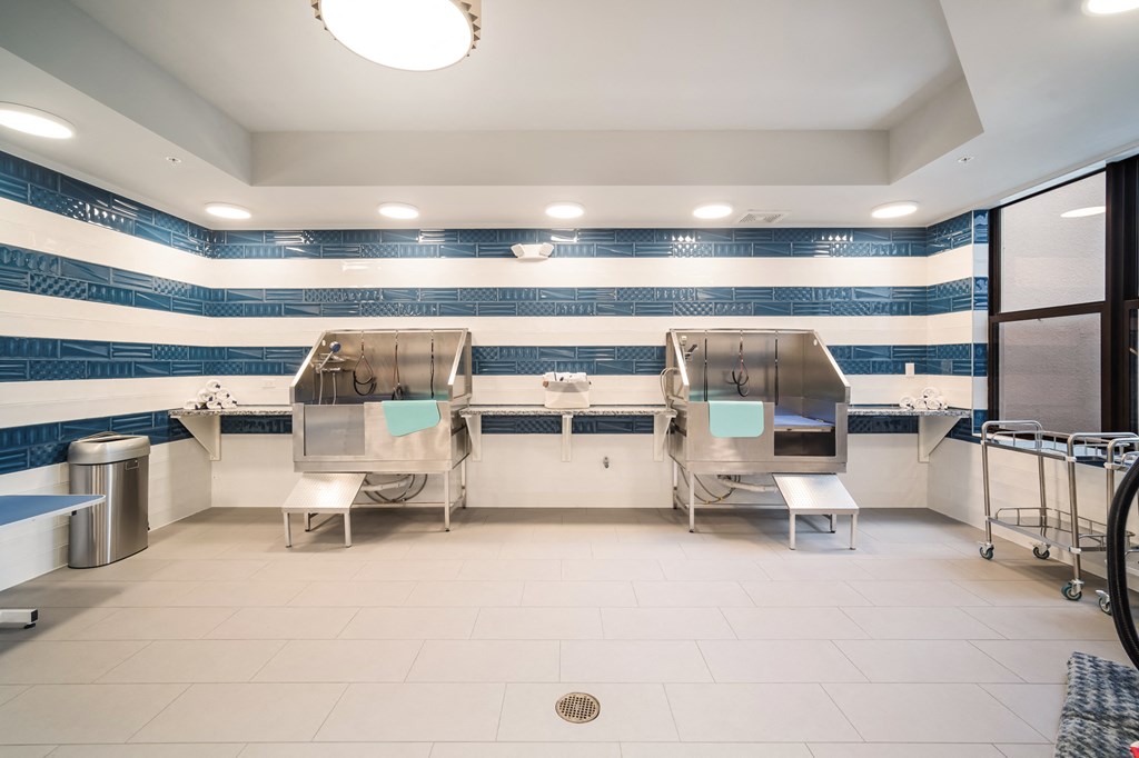 a pet spa with two stainless steel sinks and a blue and white striped wall at Magnolia Square, Naples, Florida