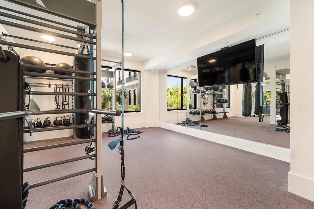 gym with mirror and tv on wall at Magnolia Square, Naples
