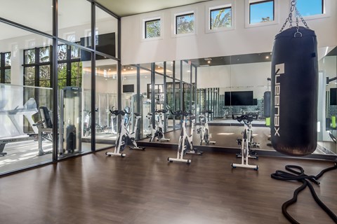 a home gym with a punching bag hanging from the ceiling at The Lotus at Village Walk, Fort Myers, FL