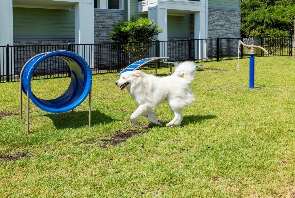 a small white dog running through a playground