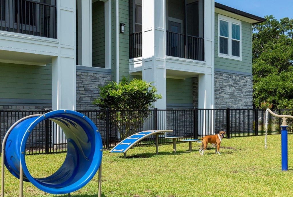 a dog walking near a playground in front of an apartment building
