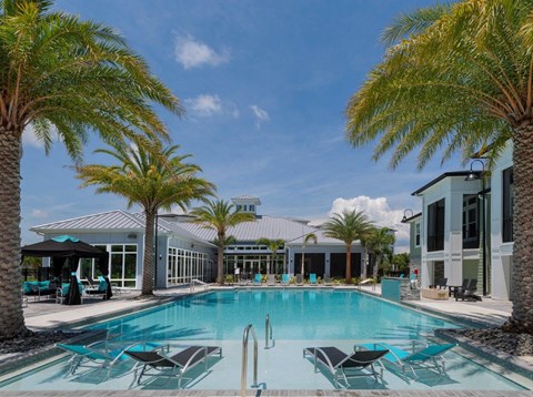 the swimming pool at the resort at longboat key club the swimming pool at the resort at longboat key club at The Addison on Long Bayou Apartments, Seminole, 33772