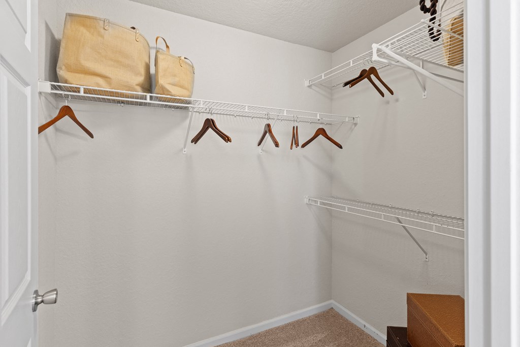 a walk in closet in a bedroom with a door open