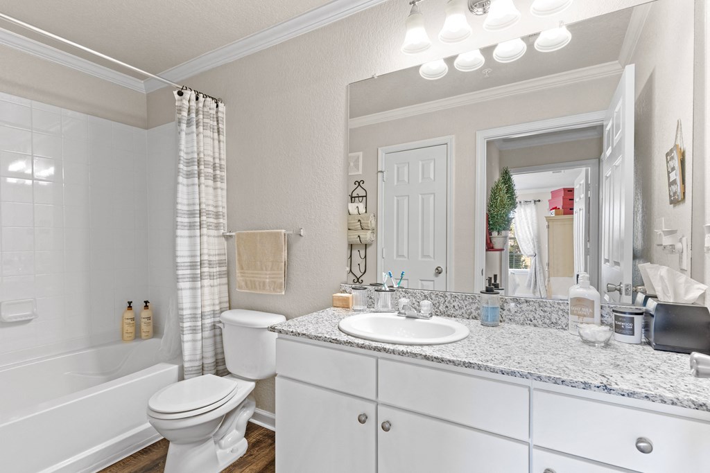 a bathroom with a sink toilet and bathtub