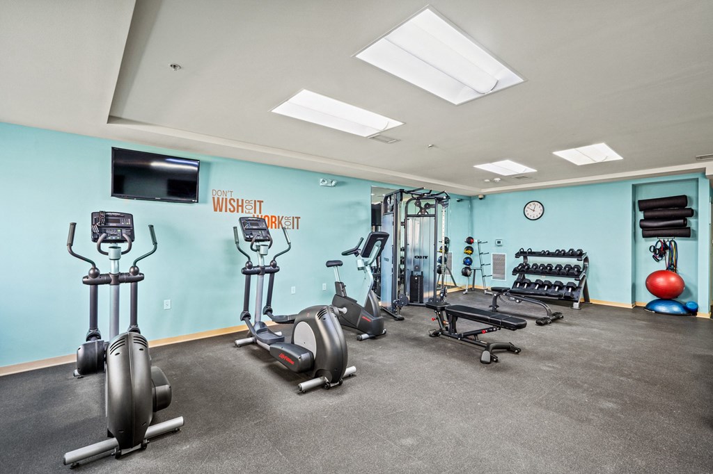 the gym is equipped with state of the art cardio machines and weights
