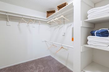 Large Closet at Northgreen at Carrollwood Apartments in Tampa, FL