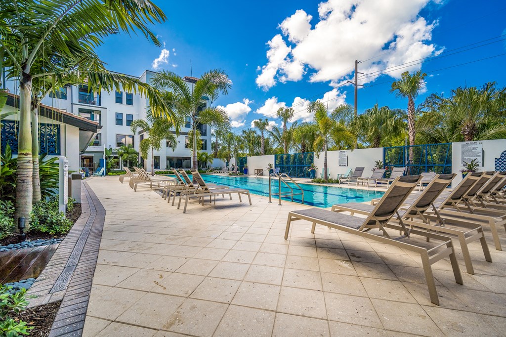 pool surrounded by palm trees and brown pool chairs at Magnolia Square, Naples