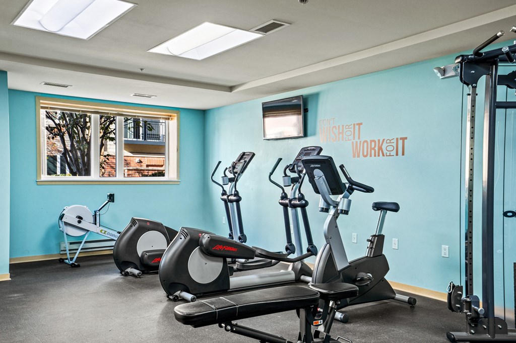 the gym has plenty of exercise equipment at our apartments