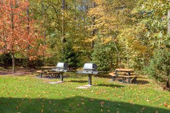 Landscaped BBQ and picnic area