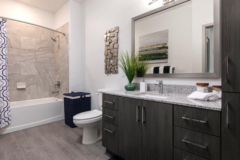 a bathroom with a toilet and a large mirror at Enclave at 3230 Apartments, South Daytona