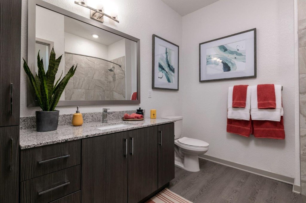 a bathroom with a sink and a toilet and a mirror at Enclave at 3230 Apartments, South Daytona, FL, 32119