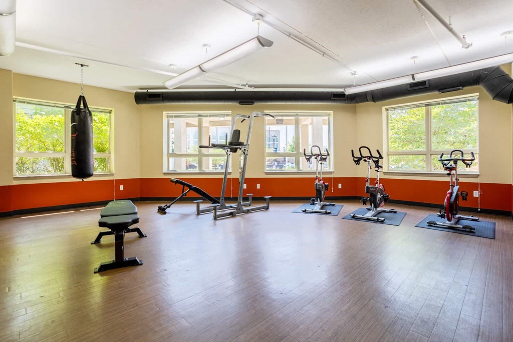 Gym at Wheaton 121, Illinois, 60187