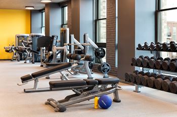 A gym with a variety of equipment including weights and a medicine ball.