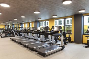 A gym with treadmills and elliptical machines.