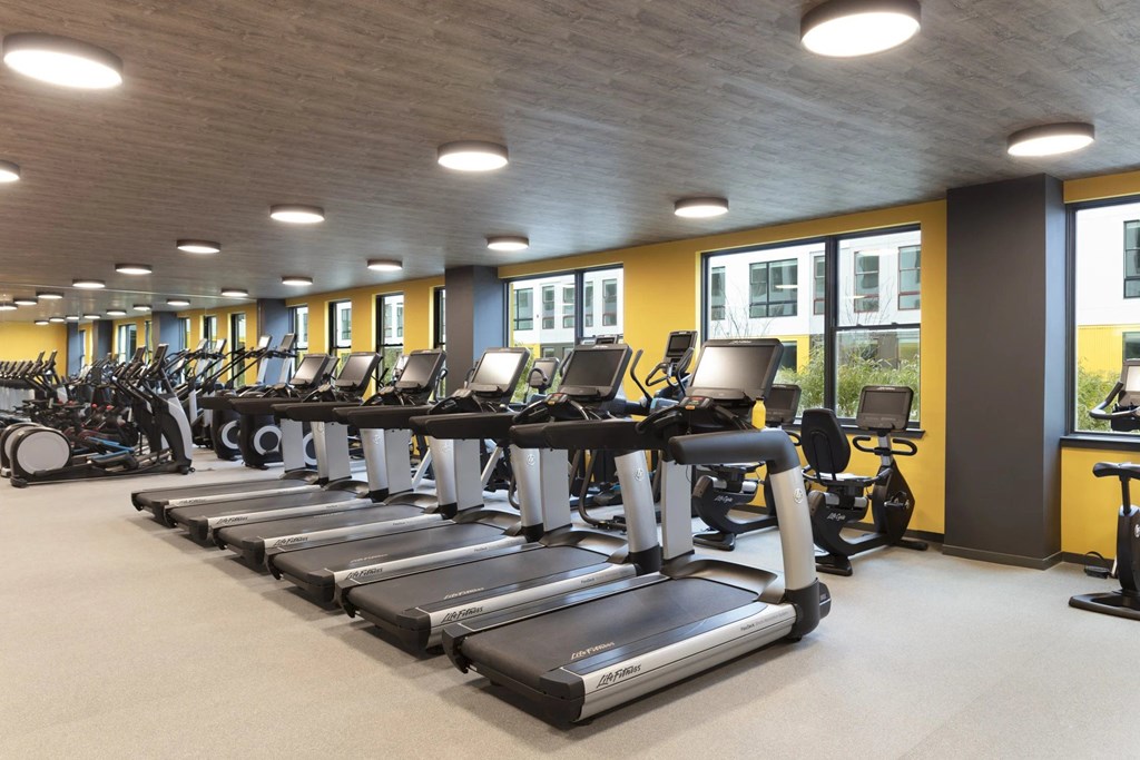 A gym with treadmills and elliptical machines.