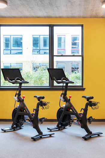 Two stationary bikes are placed in front of a window.