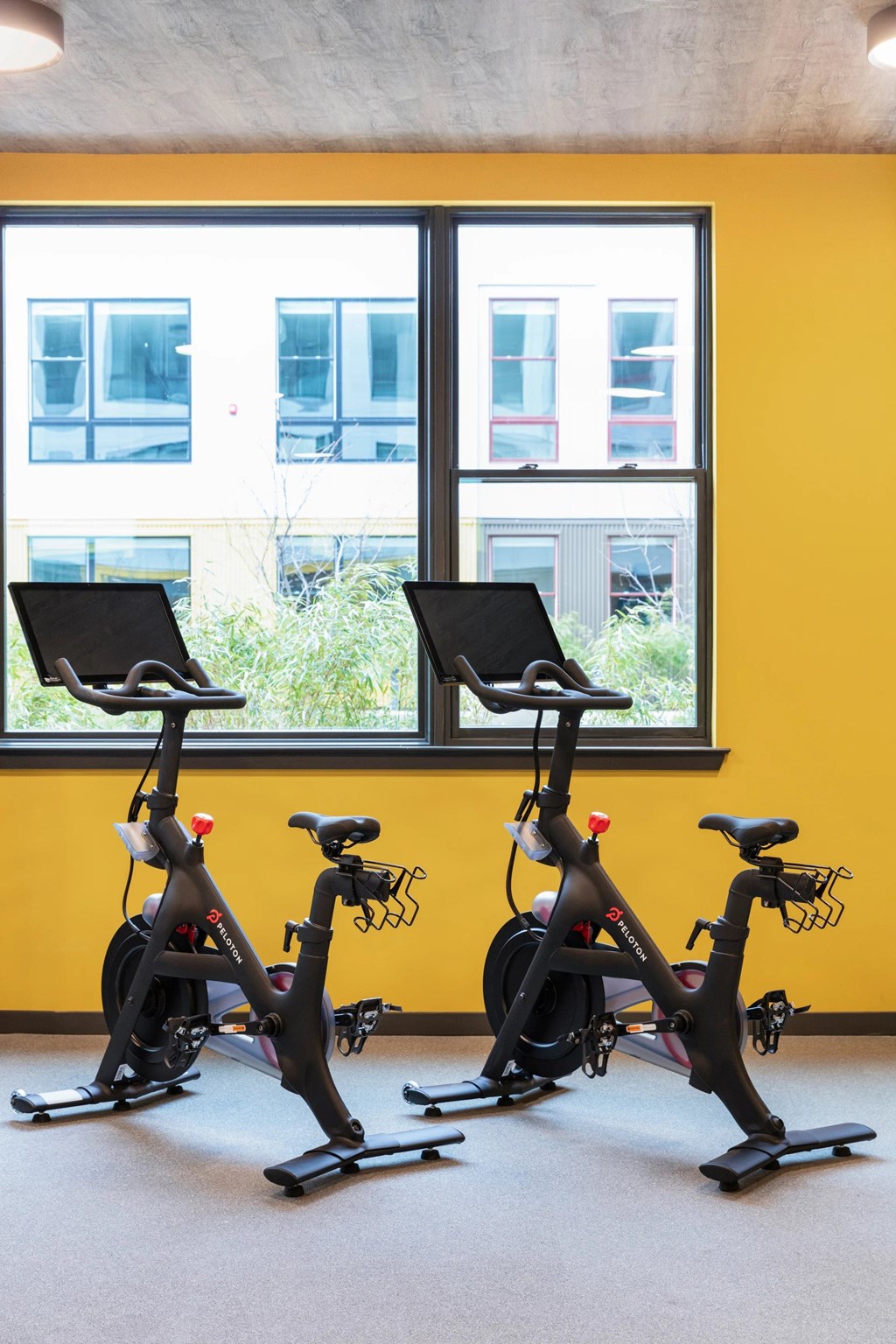 Two stationary bikes are placed in front of a window.