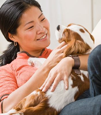Pets Welcome at JTB Apartments, Florida, 32256