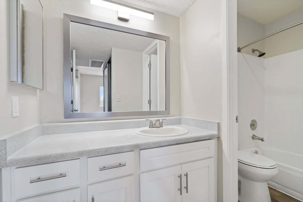 a bathroom with a sink and a mirror and a toilet