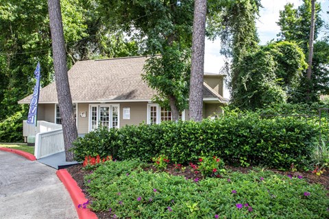 a house with a sidewalk and trees in front of it
