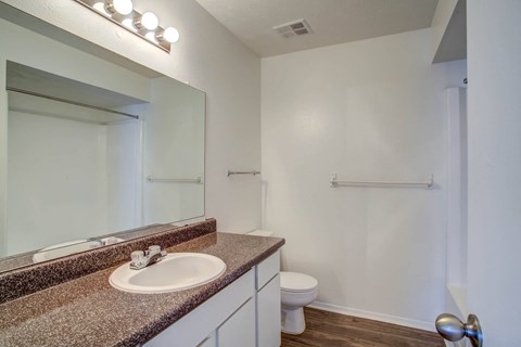 a bathroom with a sink and a toilet and a mirror