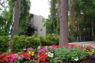 an apartment building is seen behind a garden of flowers