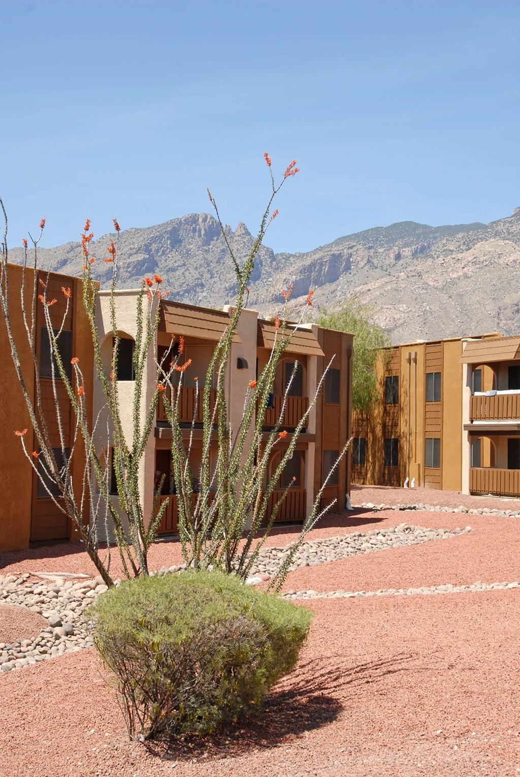 Courtyard View at Elevation Apartments, Tucson, Arizona