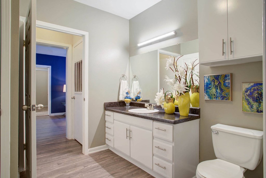 Luxurious Bathroom at Metro 5514 Houston, TX, 77021