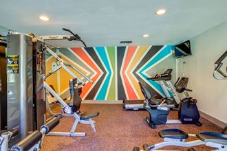 Fitness Center Fitness Center at The Reserve at City Center North, Texas, 77043 - Photo Gallery