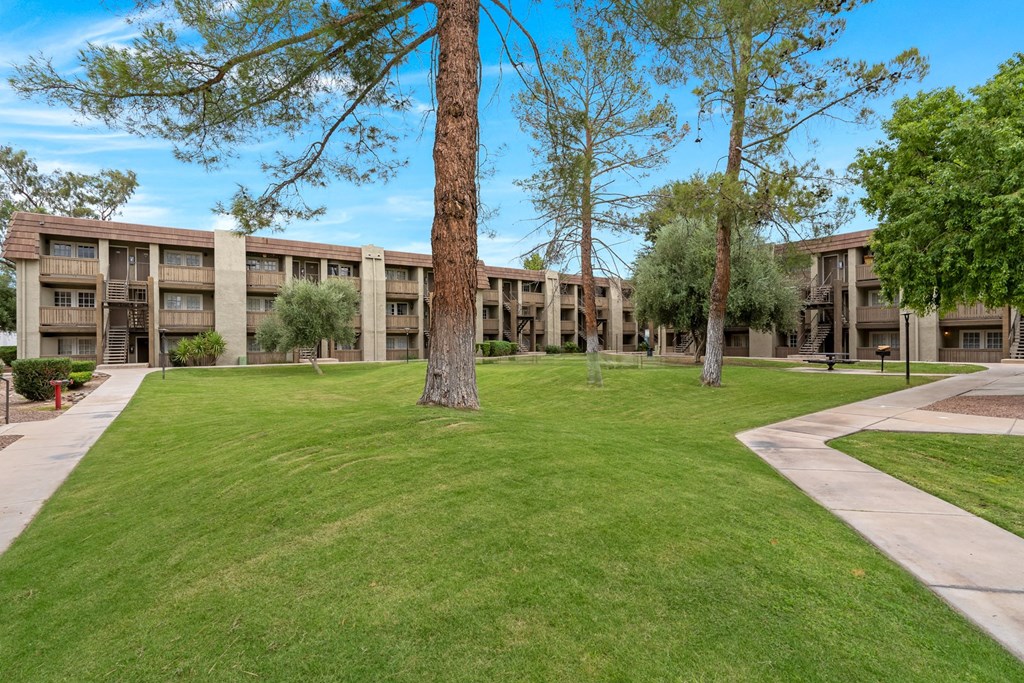 Courtyard with Palm Trees and Buildings at Verde Apartments in Tucson, AZ!