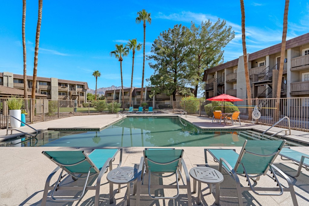 Pool with Loungers and Palm Trees at Verde Apartments, Tucson, AZ