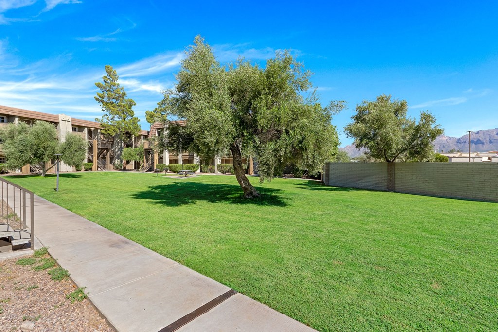 Green Space at Verde Apartments in Tucson, AZ, 85719