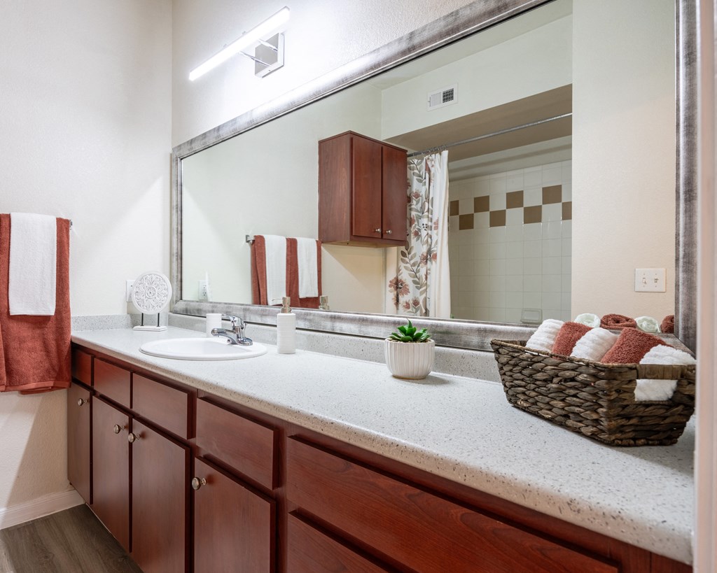 Bathroom at Park Hudson Place Apartments, Bryan