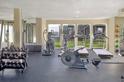 A spacious gym with a variety of equipment including treadmills, weights, and exercise machines.