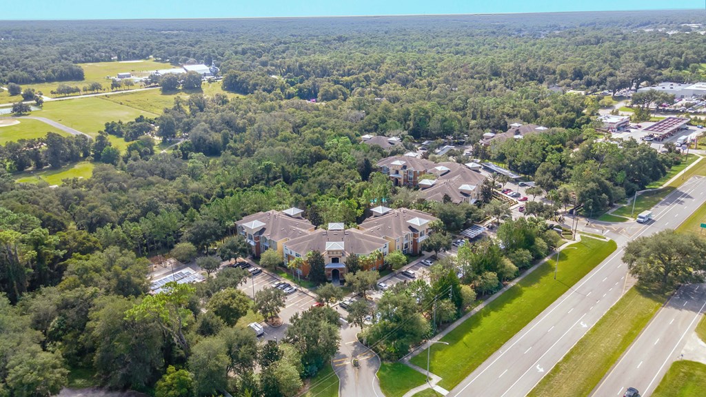 an aerial view of a neighborhood with houses and trees