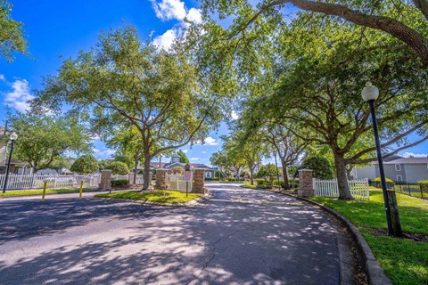 A tree-lined street with a lamp post on the right.