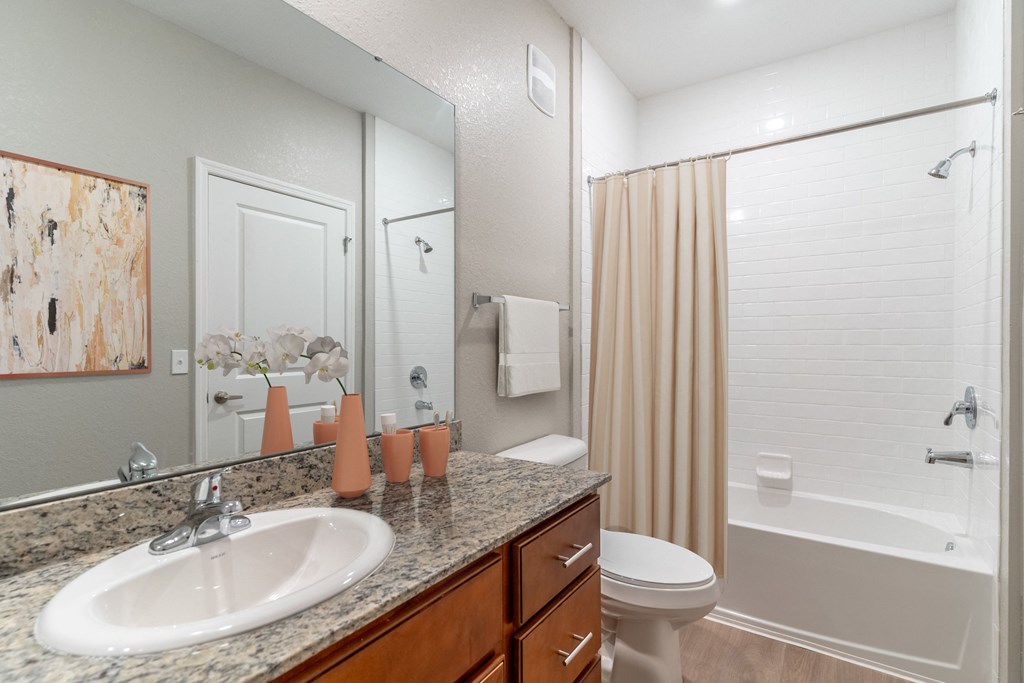 a bathroom with a sink and a shower and a toilet
