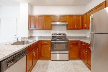 One Bedroom - Kitchen - Photo Gallery 31