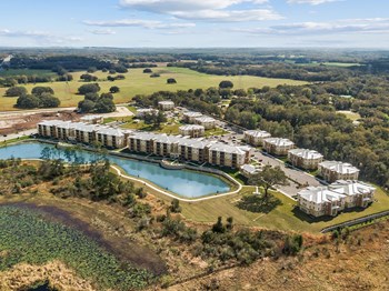 Aerial Shot - Photo Gallery 2